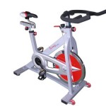 Sunny Health & Fitness Pro Indoor Cycling Bike