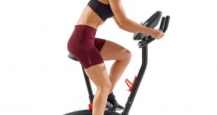 scwinn a10 upright bike review