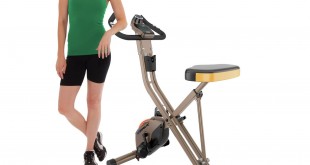 Exerpeutic GOLD 500 XLS Foldable Magnetic Upright Bike review