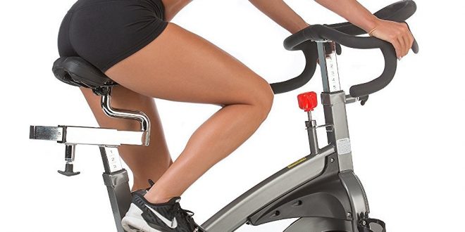 ASUNA 5100 Magnetic Belt Exercise Bike