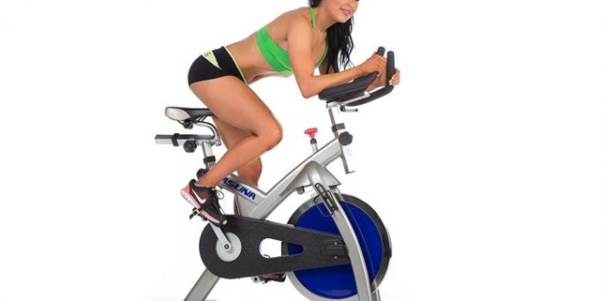 ASUNA 4100 Exercise Bike