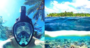 full face Snorkel Mask